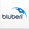 Bluberi